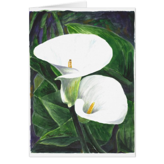 Calle Lilies (Voorkant)