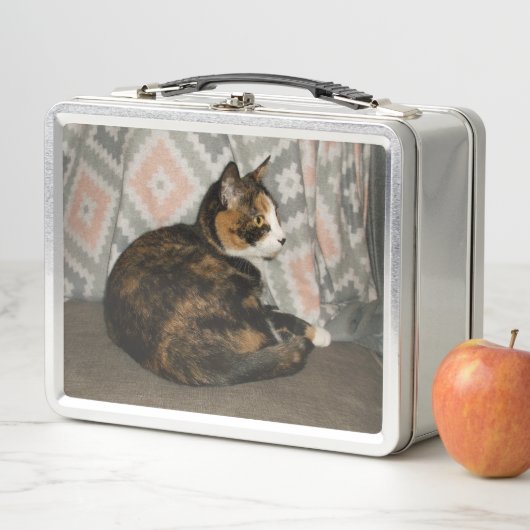 Callie Cat op Sofa (In situ)