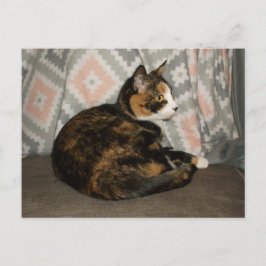 Callie Cat op Sofa Briefkaart