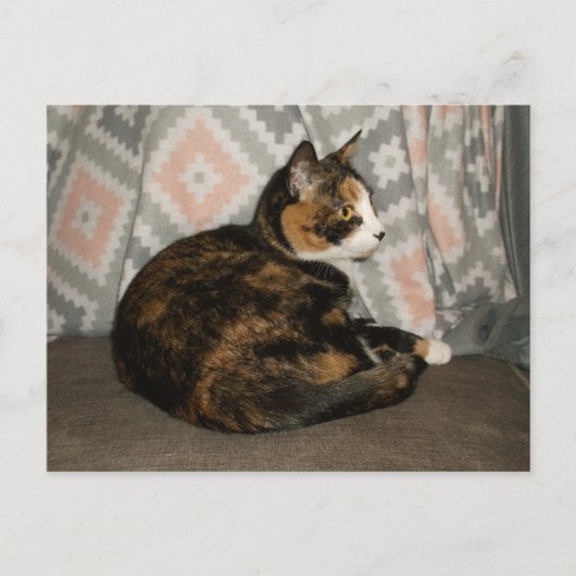 Callie Cat op Sofa Briefkaart (Voorkant)