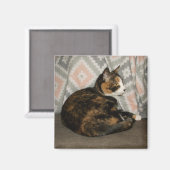 Callie Cat op Sofa Magneet (Voorkant / Achterkant)