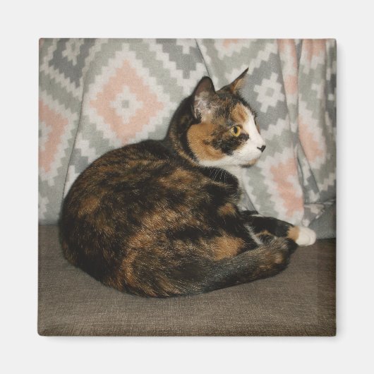 Callie Cat op Sofa Magneet (Voorkant)