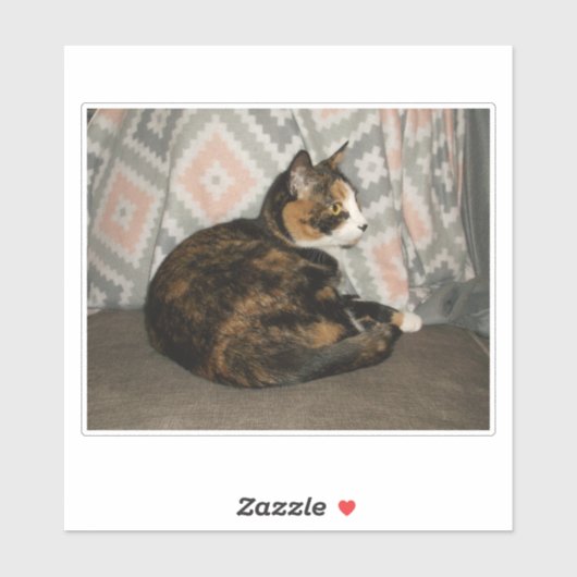 Callie Cat op Sofa Sticker (Vel)