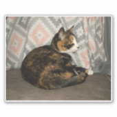 Callie Cat op Sofa Sticker (Voorkant)