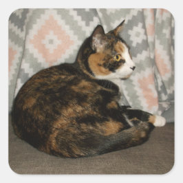 Callie Cat op Sofa Vierkante Sticker