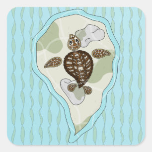 Callie de Zee Turtle Sticker