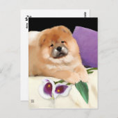 CALLIE heARTdog chow postcard Briefkaart (Voorkant / Achterkant)