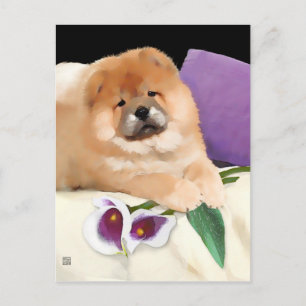 CALLIE heARTdog chow postcard Briefkaart