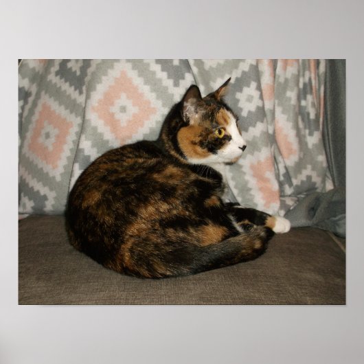 Callie Kat op Bank Poster (Voorkant)