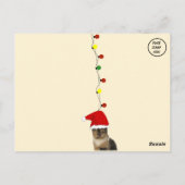 Callie Muffin Gekke Kattenkerst Briefkaart (Achterkant)