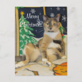 Callie Muffin Gekke Kattenkerst Briefkaart (Voorkant)