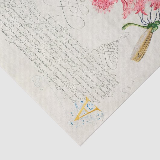 Calligrafie (anjer, insecten en mariene weekdieren tissuepapier (Detail)
