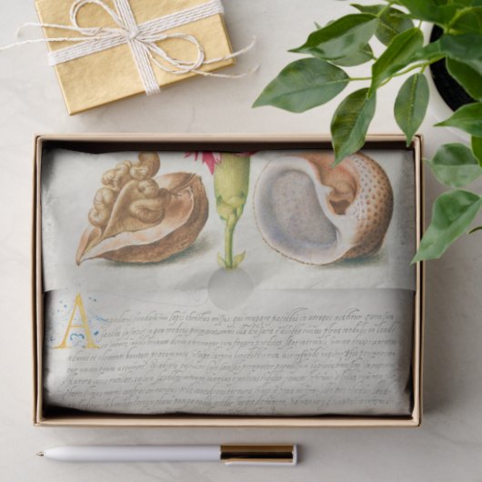 Calligrafie (anjer, insecten en mariene weekdieren tissuepapier (Geschenk)