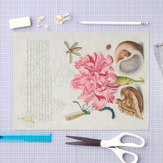 Calligrafie (anjer, insecten en mariene weekdieren tissuepapier (Craft)