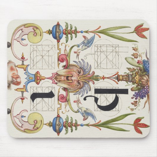 CALLIGRAFIE BOTANICAL LETTER I HOEFNAGEL ALPHABET MUISMAT (Voorkant)