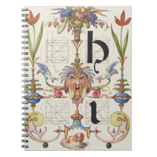 CALLIGRAFIE BOTANICAL LETTER I HOEFNAGEL ALPHABET NOTITIEBOEK