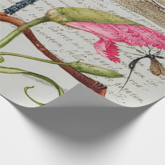 Calligrafie (Dragonfly, anjers en peren) Cadeaupapier (Hoek)