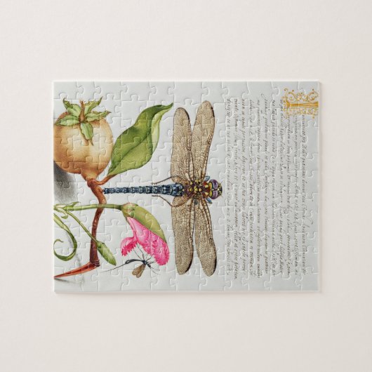 Calligrafie (Dragonfly, anjers en peren) Legpuzzel (Horizontaal)