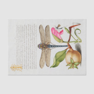 Calligrafie (Dragonfly, anjers en peren) Tissuepapier