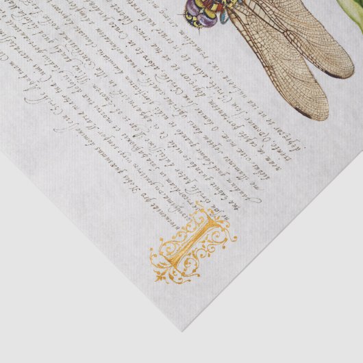 Calligrafie (Dragonfly, anjers en peren) Tissuepapier (Detail)
