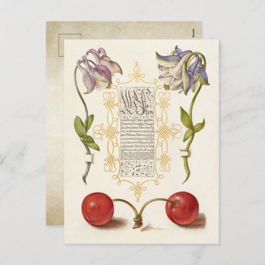 Calligrafie, gelaagd met handschrift columbine che feestdagenkaart (Voorkant / Achterkant)