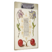 Calligrafie, gelaagd met handschrift columbine che klembord (Rechts)