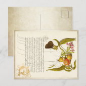 Calligrafie gelaste initiaal  planten ringlet feestdagenkaart (Voorkant / Achterkant)