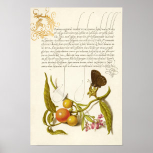 Calligrafie gelaste initiaal  planten ringlet poster