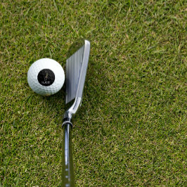 Calligrafie monogram waterverf letter I zwart Golfballen