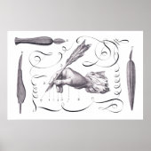 Calligrafie, schrijven - Handige 18e C. Engraving Poster (Voorkant)