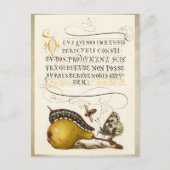 Calligrafie van gelakt initiaal pereninsect briefkaart (Voorkant)