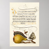 Calligrafie van gelakt initiaal  pereninsect poster (Voorkant)