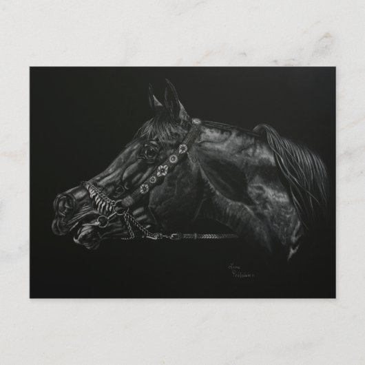 Calling Briefkaart (Voorkant)