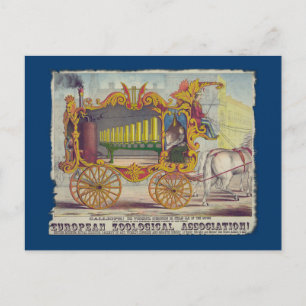 Calliope Artwork op Apparel en Gifts Briefkaart