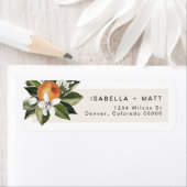 CALLIOPE Citrus Oranje Clementine Cutie Address La Etiket (Insitu)