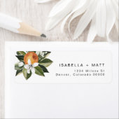 CALLIOPE Citrus Oranje Clementine Cutie Adres Etiket (Insitu)