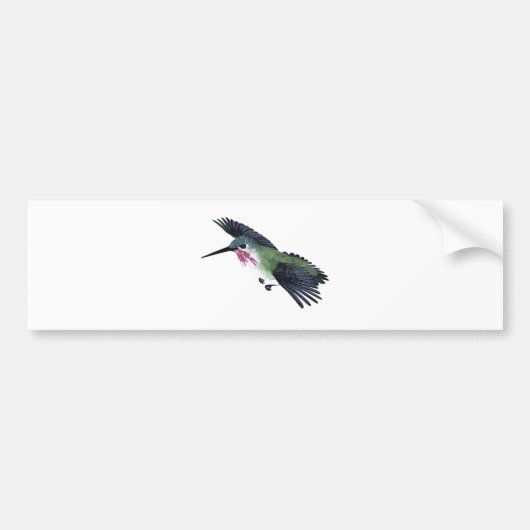 Calliope Hummingbird Bumpersticker (Voorkant)