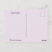 Calliope Hummingbird Flying in Paars & Roze Briefkaart (Achterkant)