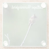 Calliope Hummingbird Glazen Onderzetter (Achterkant)
