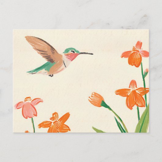 Calliope Hummingbird in vliegtekening Briefkaart (Voorkant)