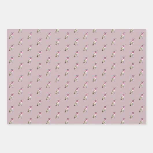 Calliope Hummingbird Inpakpapier Vel (Voorkant 3)