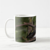 Calliope Hummingbird Koffiemok (Links)
