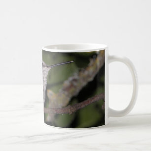 Calliope Hummingbird Koffiemok