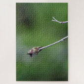 Calliope Hummingbird Legpuzzel (Verticaal)