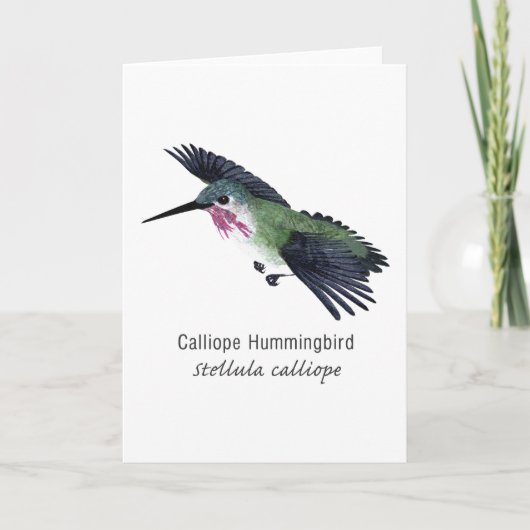 Calliope Hummingbird met naam Kaart (Voorkant)