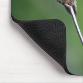 Calliope Hummingbird Muismat (Hoek)