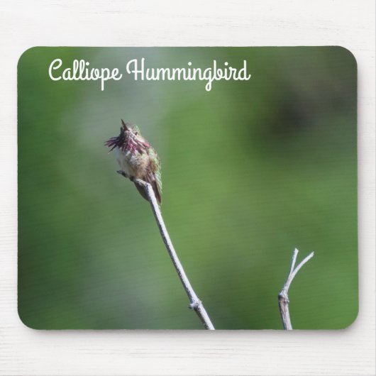 Calliope Hummingbird Muismat (Voorkant)