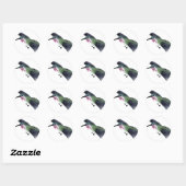 Calliope Hummingbird Ronde Sticker (Vel)