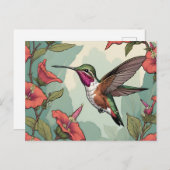 Calliope Hummingbird tijdens de vlucht Briefkaart (Voorkant / Achterkant)