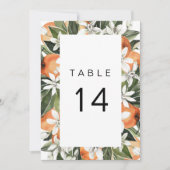 Calliope - Waterverf Tropisch Sinaasappel Tafelnum Kaart (Voorkant)